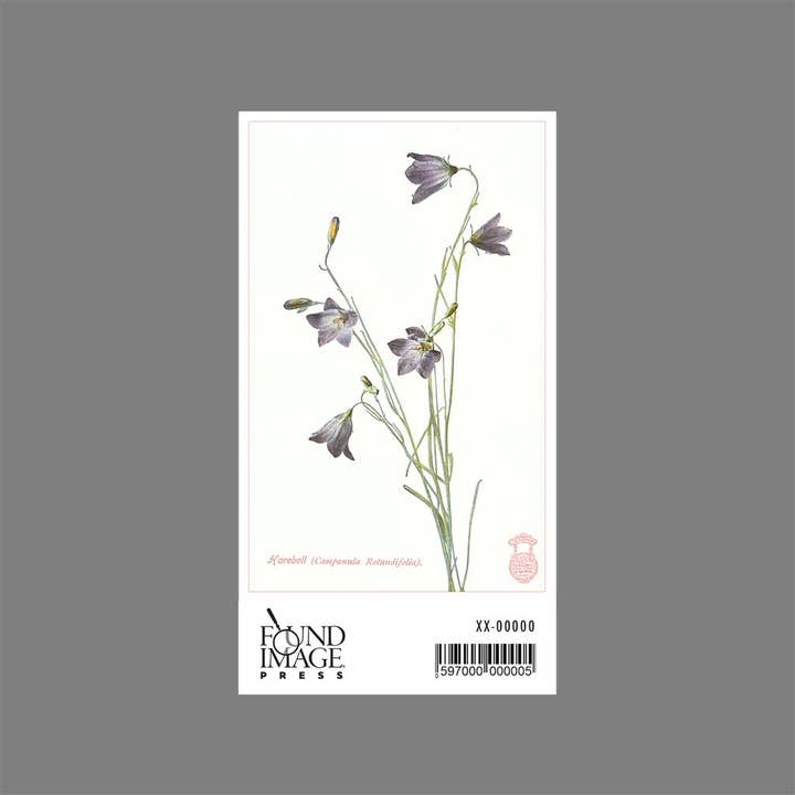Found Image Press - Wholesale Sticker - Sticker FC-24 Harebell1