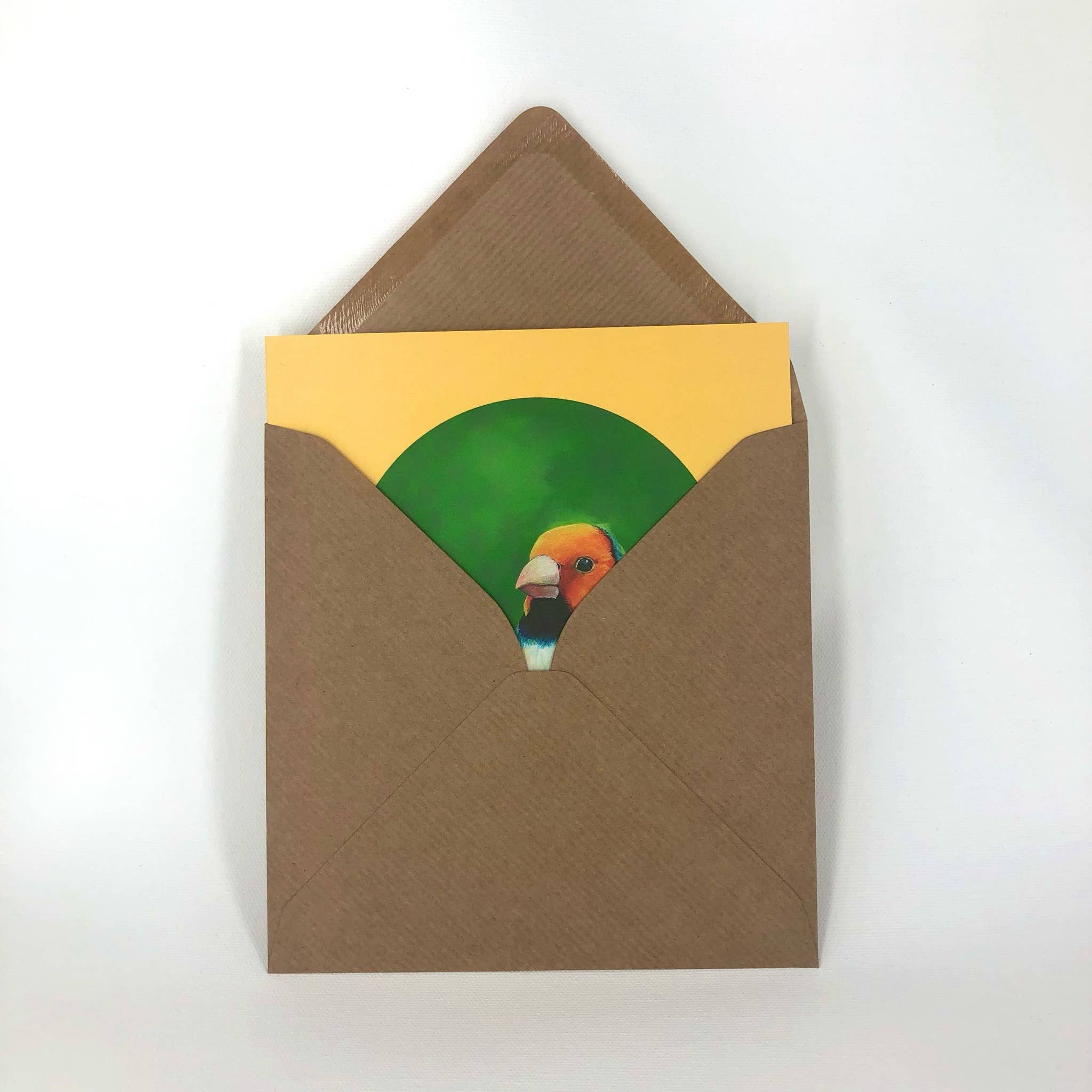 Diedododa – wholesale Everyday greeting card – Gouldian Finch Greeting Card2