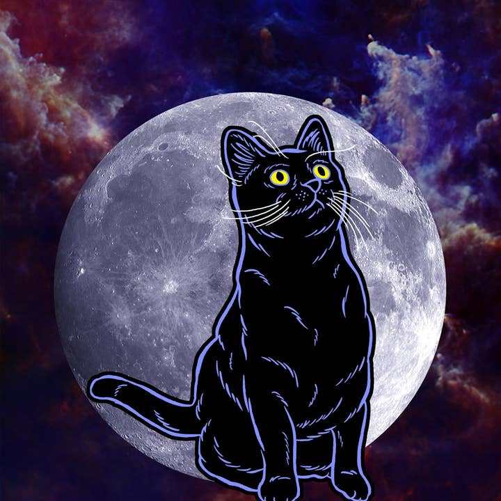 8x10 Impressão: Cat Moon Night por atacado de Cat Champion