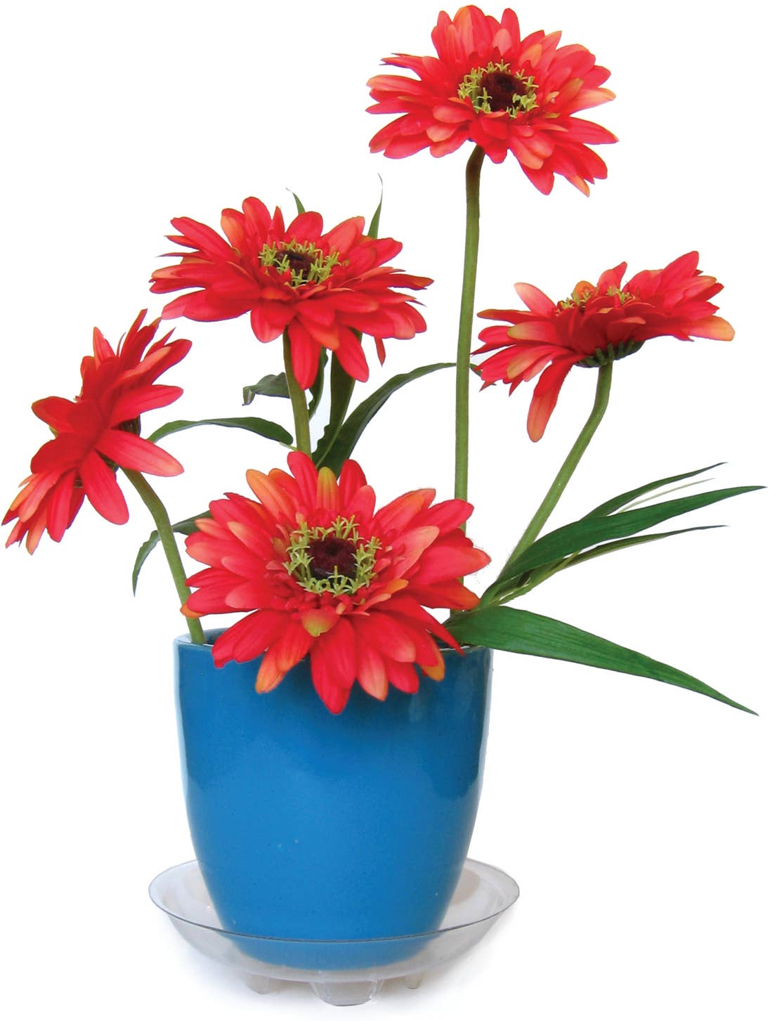 Plastec Products - Vendita all'ingrosso Vasi per piante - Super piattino 30,5 cm1