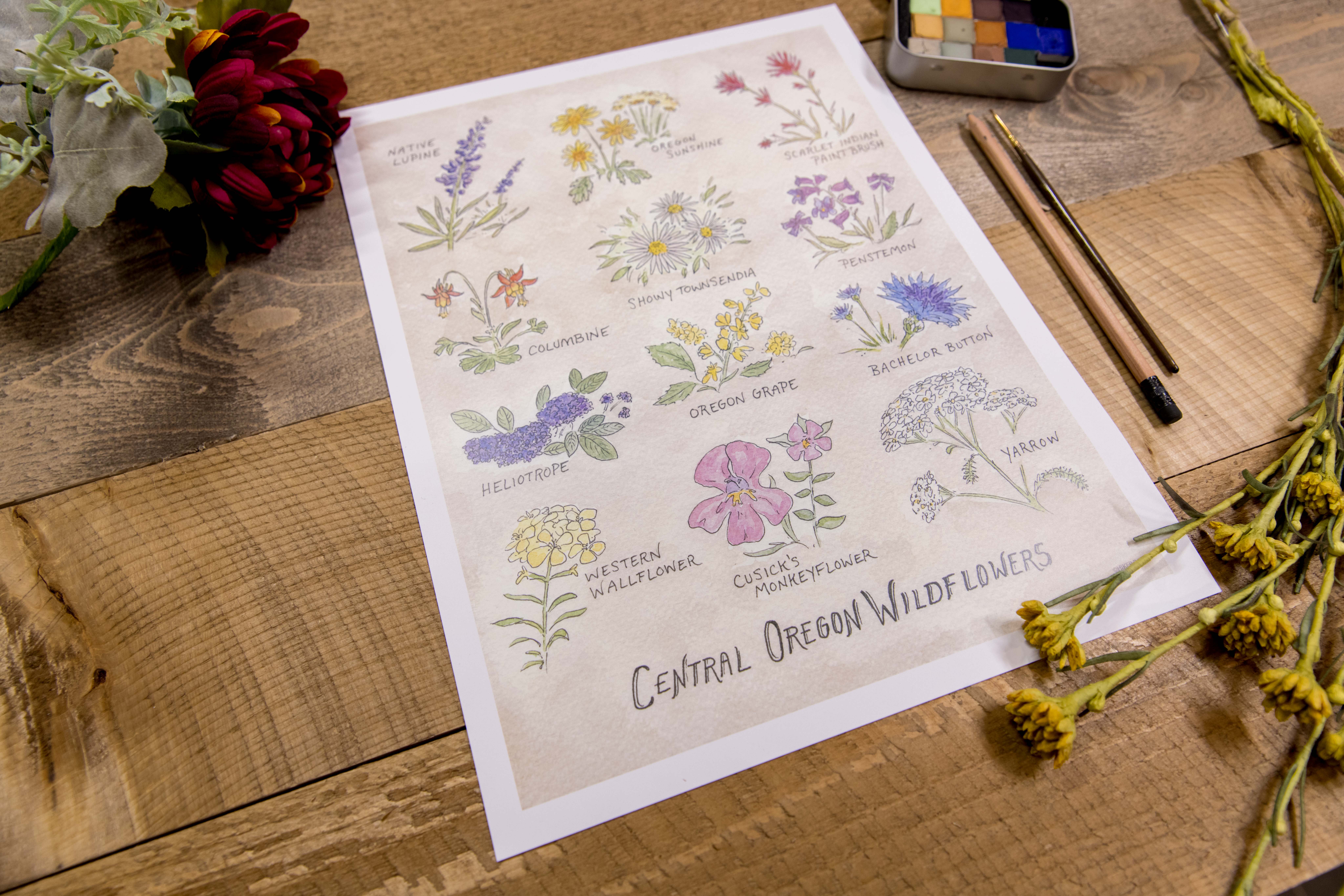 Hiker Booty – wholesale Art print – Central Oregon Wildflowers 8"x10" Art Print1