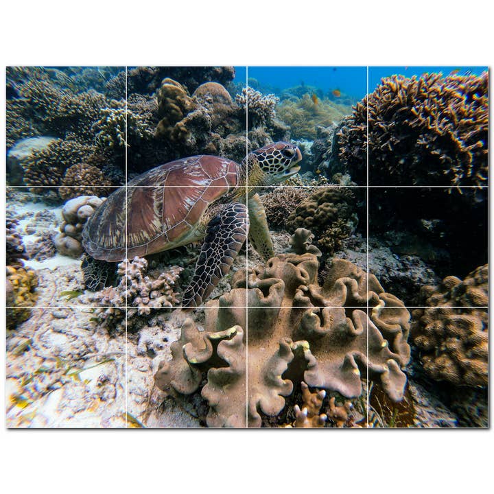 Sea Life Ceramic Tile Mural PT500417 for wholesale by Picture-Tiles.com