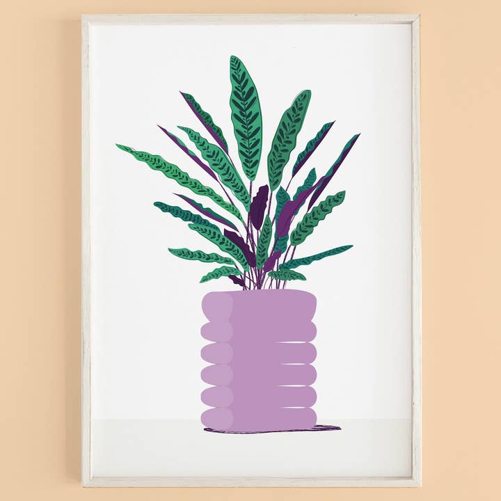 Calathea House Plant Print Home Decor Gift for wholesale by Jess Bright Design