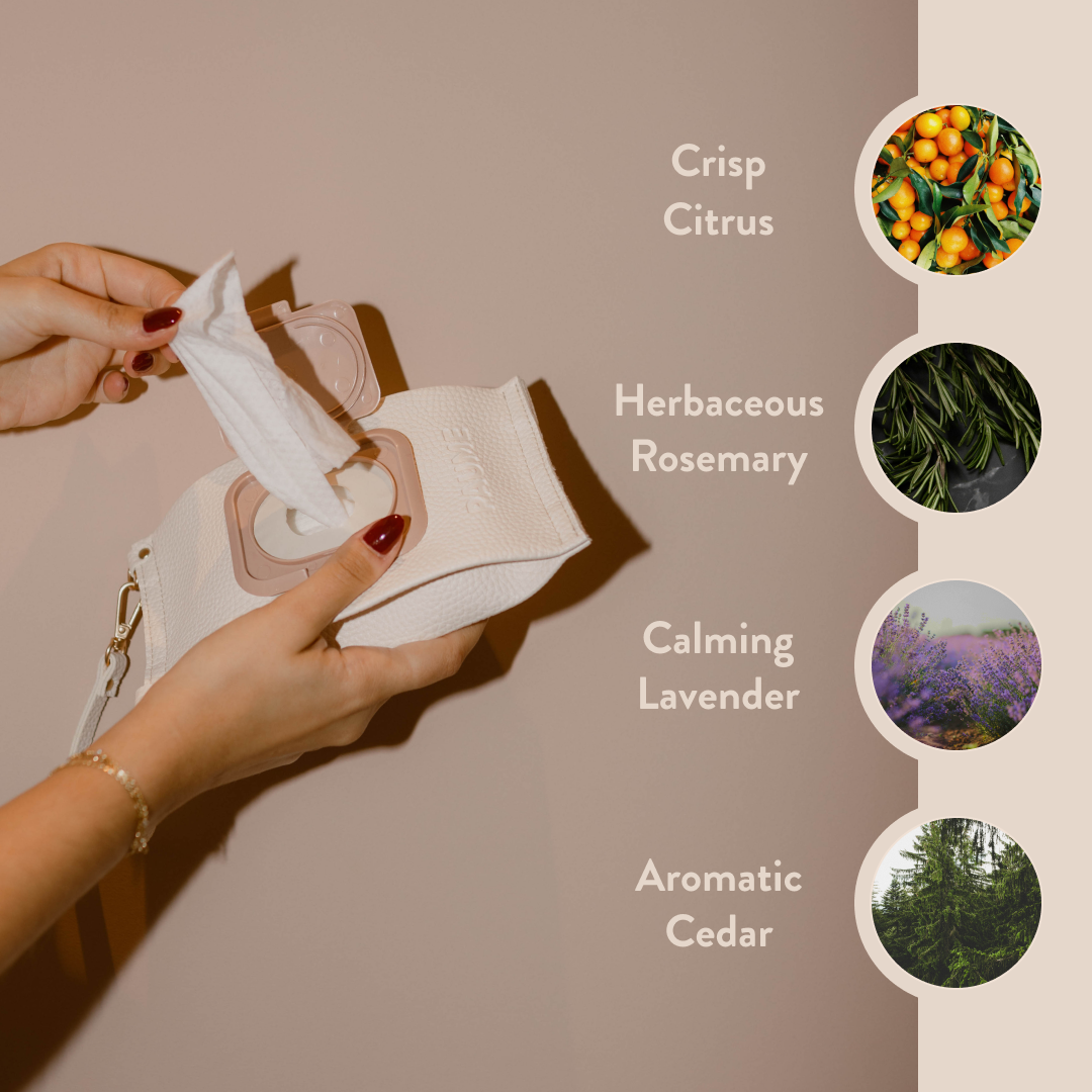 PAUME - Wholesale Face & Body Wipes - Cleansing Hand and Body Wipes2