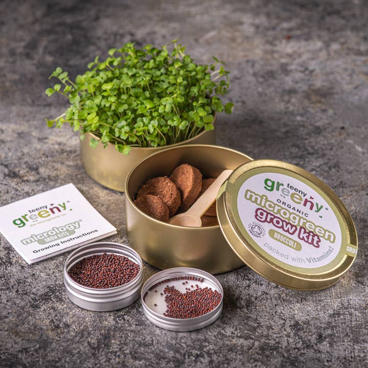 Microgreen Tin Grow Kit | BROCCOLI and other Purchase wholesale broccoli seeds. Free returns & net 60 terms on Faire trending on Faire.