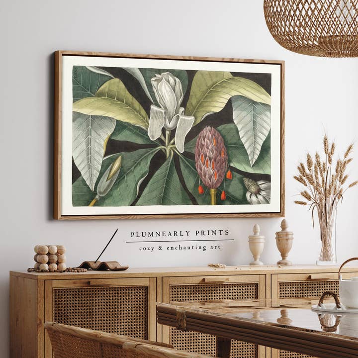 Magnolia Tree Botanical Illustration Framed Canvas Art 1 for wholesale by Plumnearly Prints