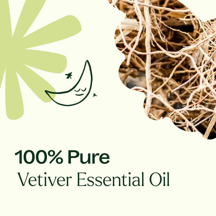 Plant Therapy - Wholesale Essential Oil - Vetiver Essential Oil 30 mL3
