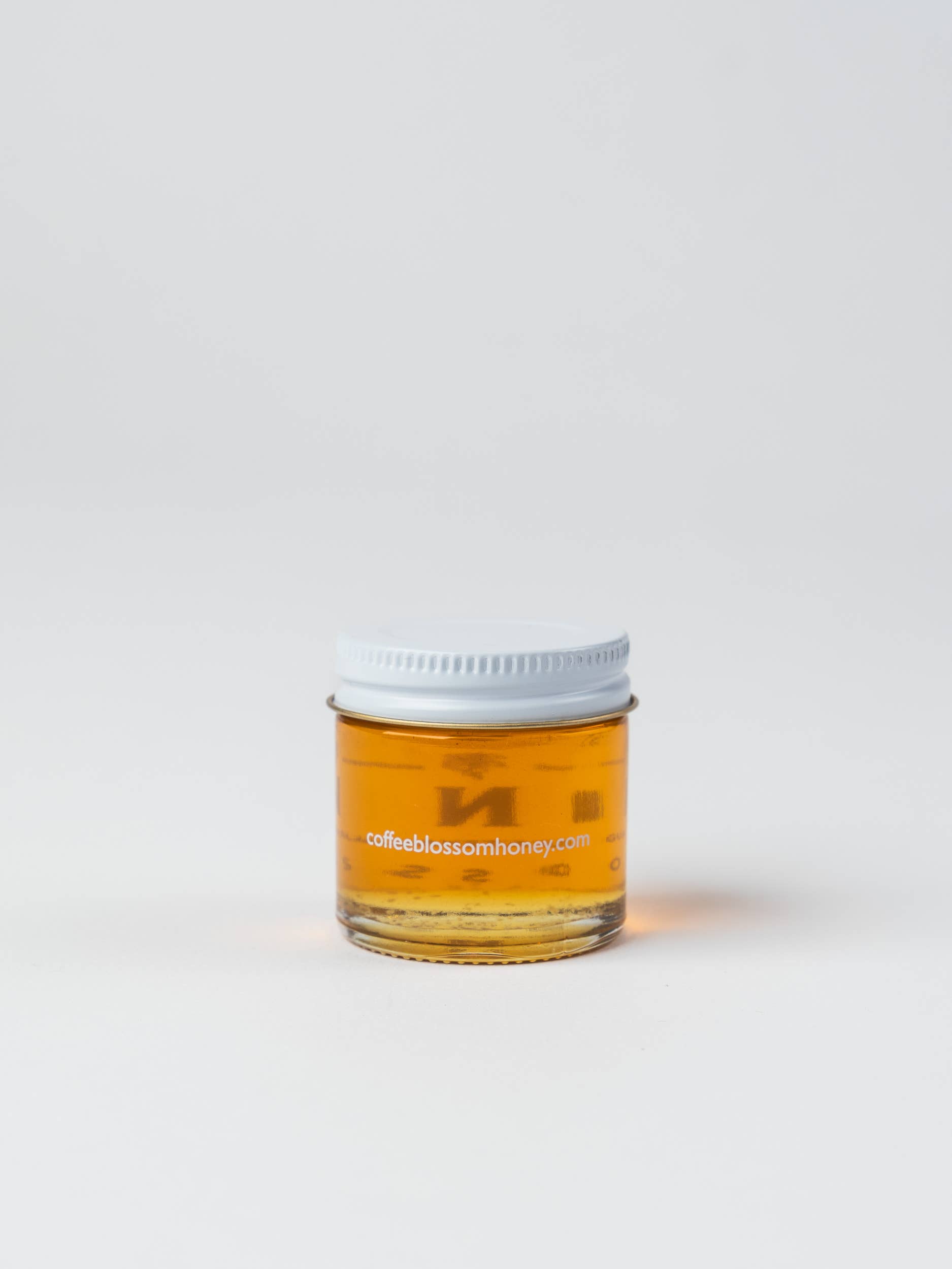 Coffee Blossom Honey - Wholesale Honey - Coffee Blossom Honey Mini Jars - Case of 121