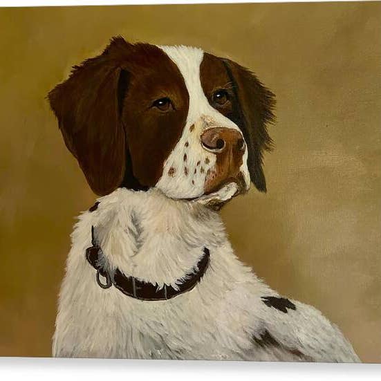 Brittany - Canvas Print 20 x 15 inches for wholesale by Leah Smith Art