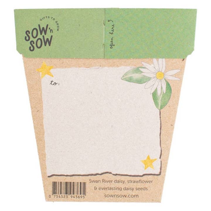 Sow 'n Sow - Wholesale Christmas Card - Christmas Native Daisies Gift of Seeds (Australia Only)1
