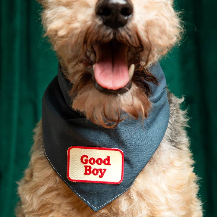Scout's Honour Pty Ltd - Wholesale Pet Bandana - Dog - Good Boy iron-on patch for dogs and cats0