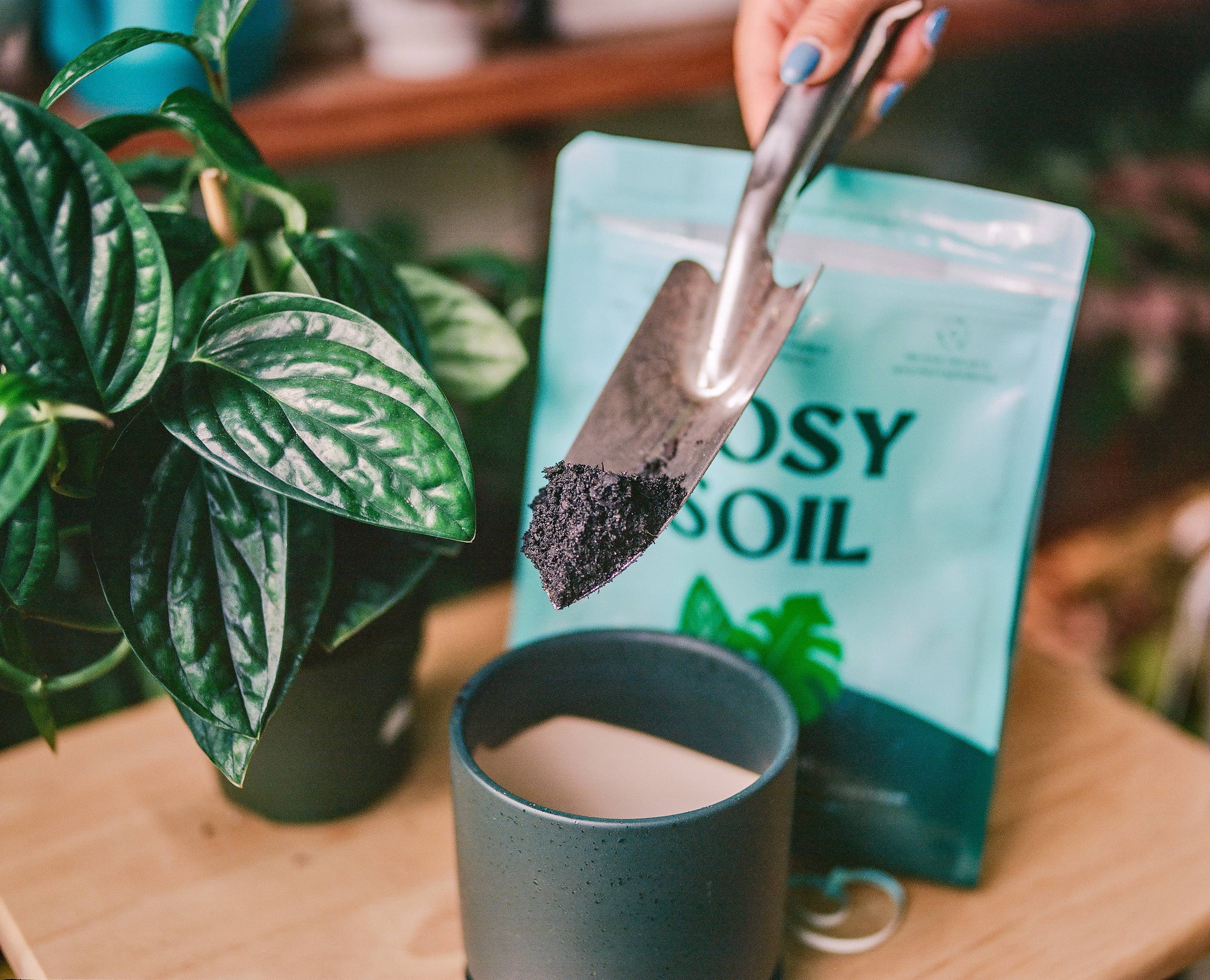 Rosy Soil - Wholesale Planting/Potting Soil - Organic potting soil mix, indoor | Buy 9 Cases, Get 1 Free6