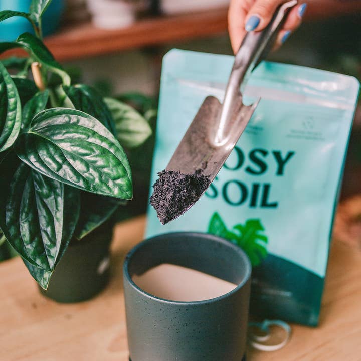 Rosy Soil - Wholesale Planting/Potting Soil - Organic potting soil mix, indoor | Buy 9 Cases, Get 1 Free6