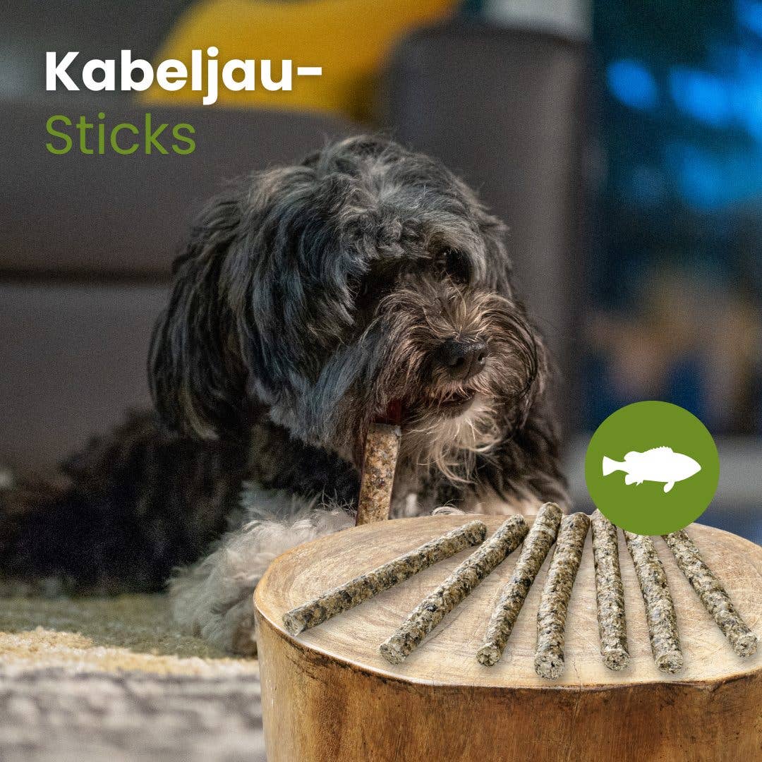 Kauartikel.com GmbH – Großhandel Leckerlis – Hund – Kabeljau-Sticks2