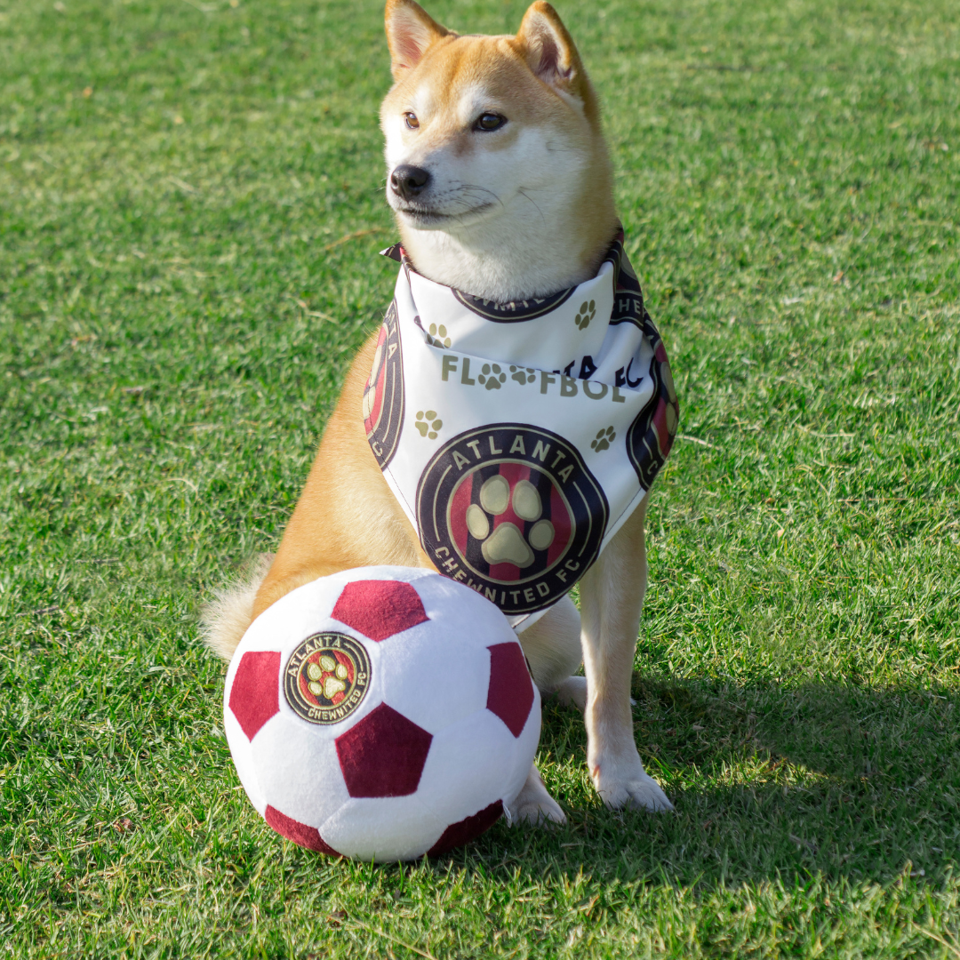 Floofball - Vendita all'ingrosso Peluche - Cani - Pallone da calcio in peluche per cani Atlanta Chewnited1