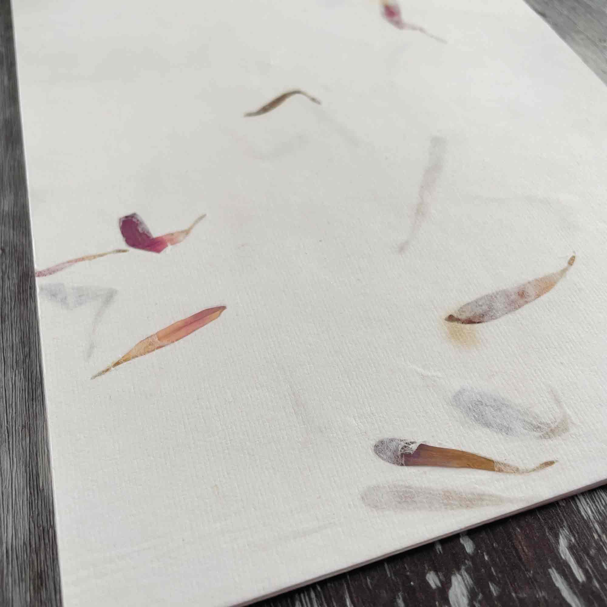 The Natural Paper Company - Wholesale Stationery/Notecard Set - Aster - Floral Handmade Paper and Envelope Set7