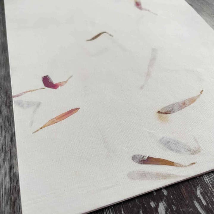 The Natural Paper Company - Wholesale Stationery/Notecard Set - Aster - Floral Handmade Paper and Envelope Set7