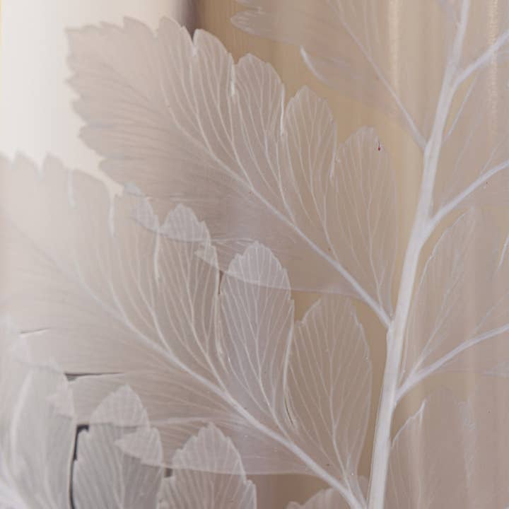 Theophile Berthon - Wholesale Live Plant - Herbarium Fern White Leather - submerged plant