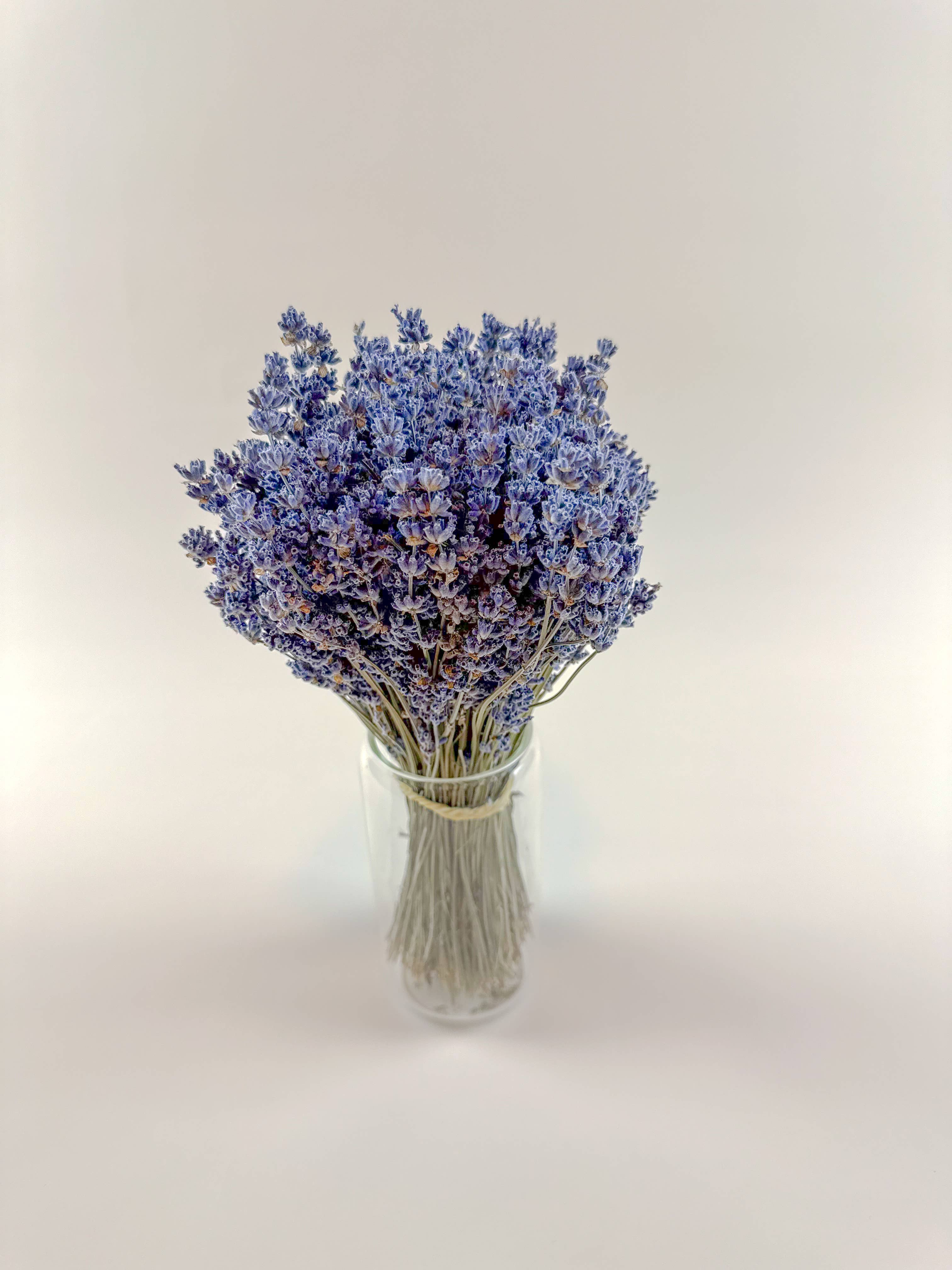 Lovejoy Farms Premium Dried Flowers - Wholesale Dried/Pressed Flowers - Dark Blue Lavender – Naturally Air-Dried Florals1