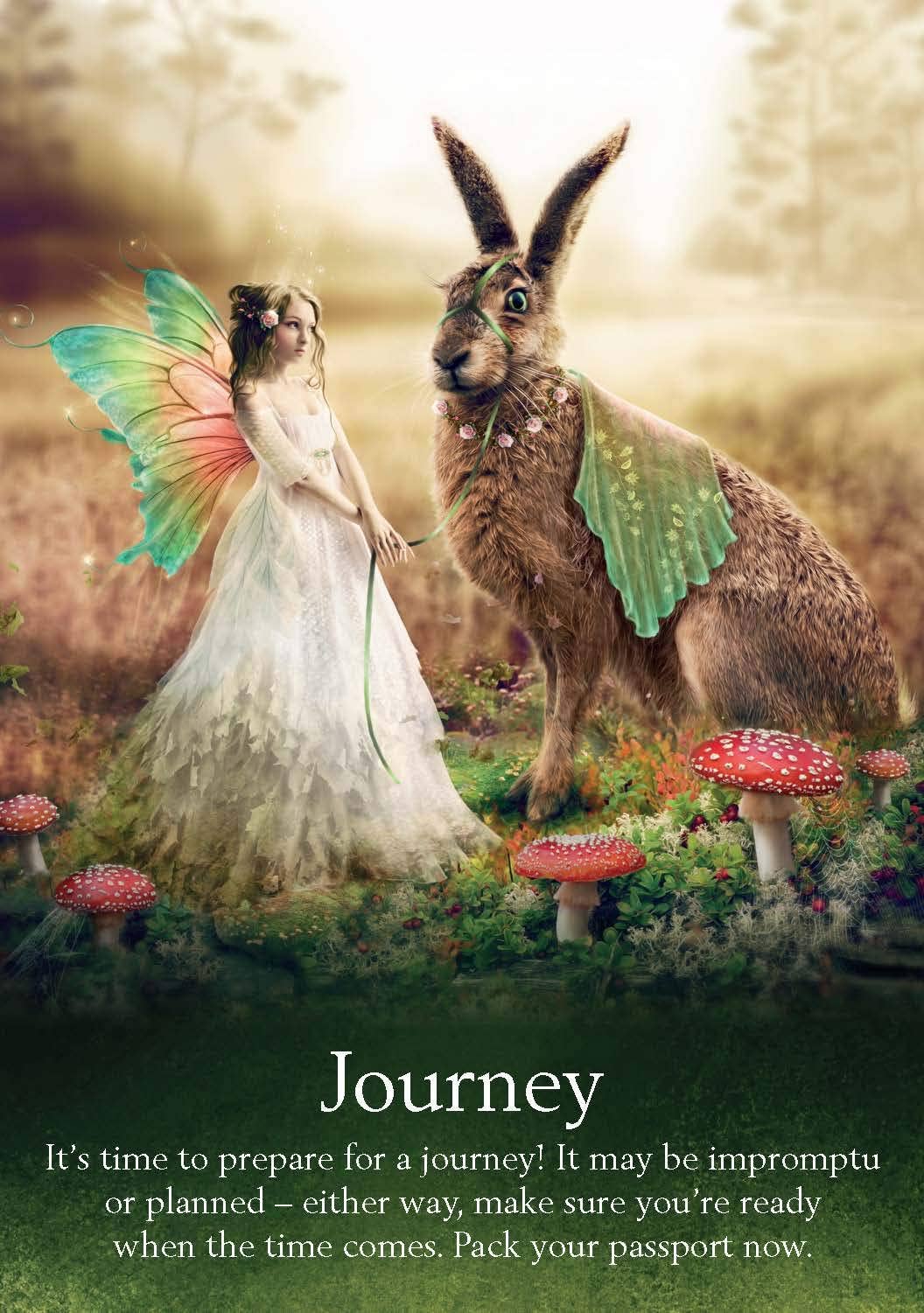 Cardshouse - Venta al por mayor Cartas del tarot - Cartas Oráculo de las Hadas Hay House6