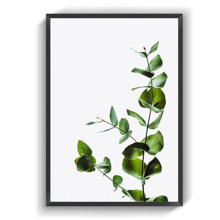 Em Bloom por atacado de IMotive