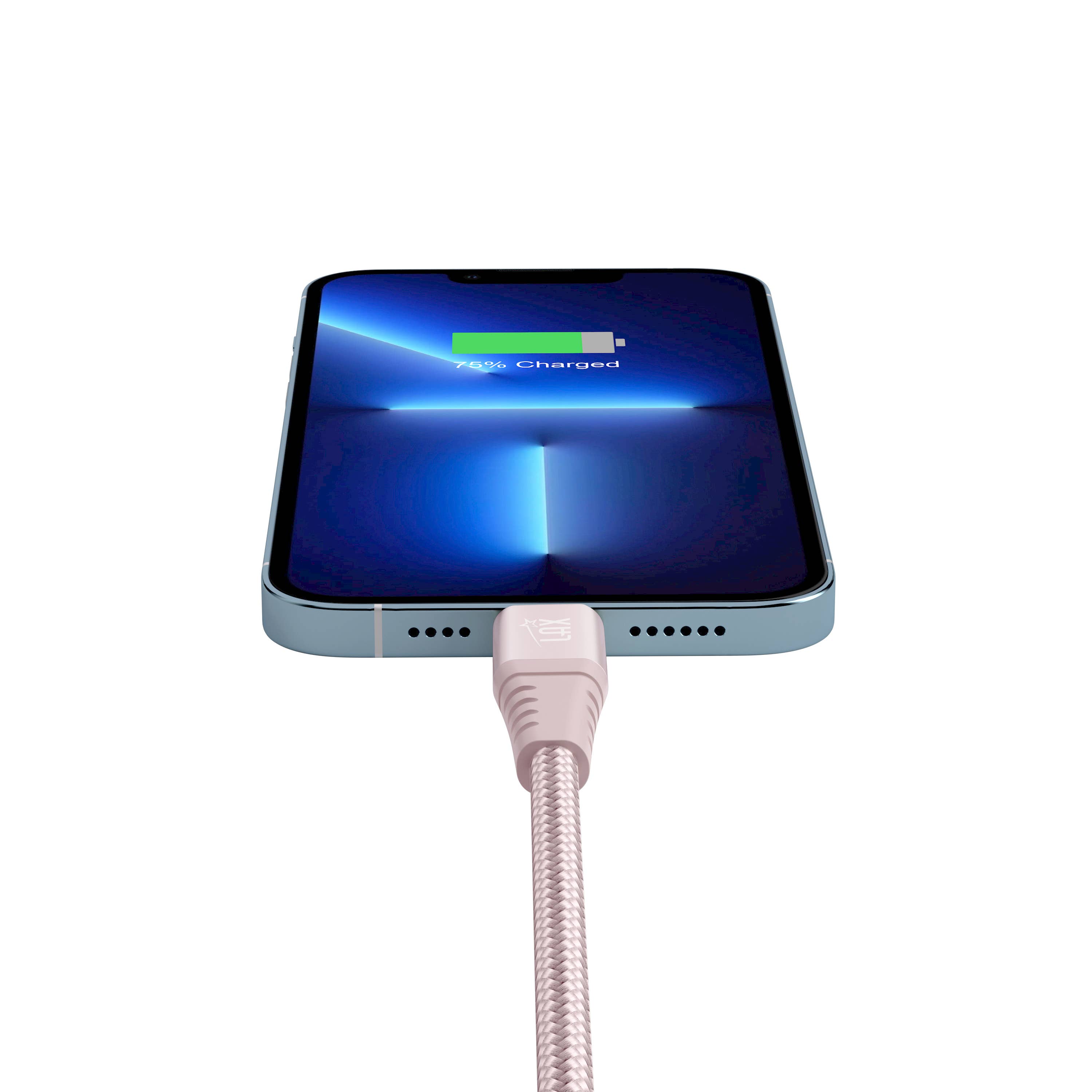 LAX Gadgets - Wholesale Charging Cable - Apple MFi Certified USB-C Iphone Cable -10ft Retail Pack29