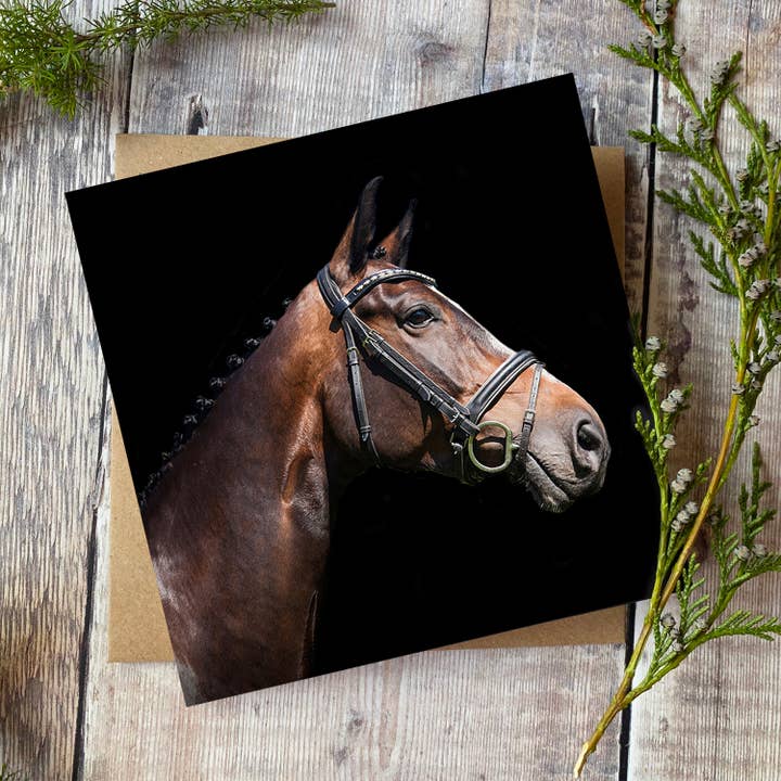Horse Greeting Card for wholesale by Alex Sharp