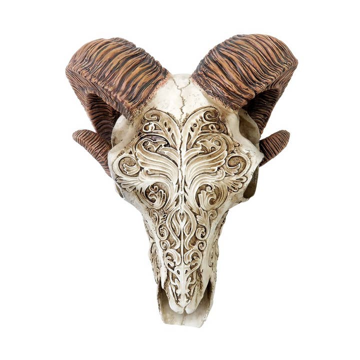Scrimshaw Ram Skull (Table Ornament) for wholesale by Alchemy Of England (Alchemy USA Distributor)