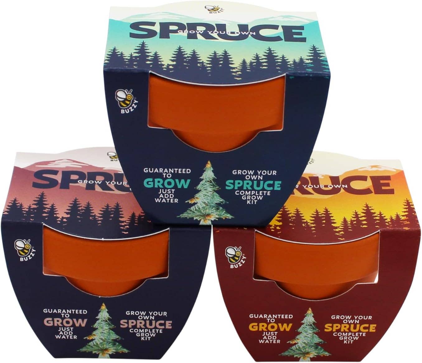 Buzzy Seeds Grow Gifts - Wholesale Plant Seeds - Mini Holiday Spruce Trees – Terracotta Pot Gift Set1