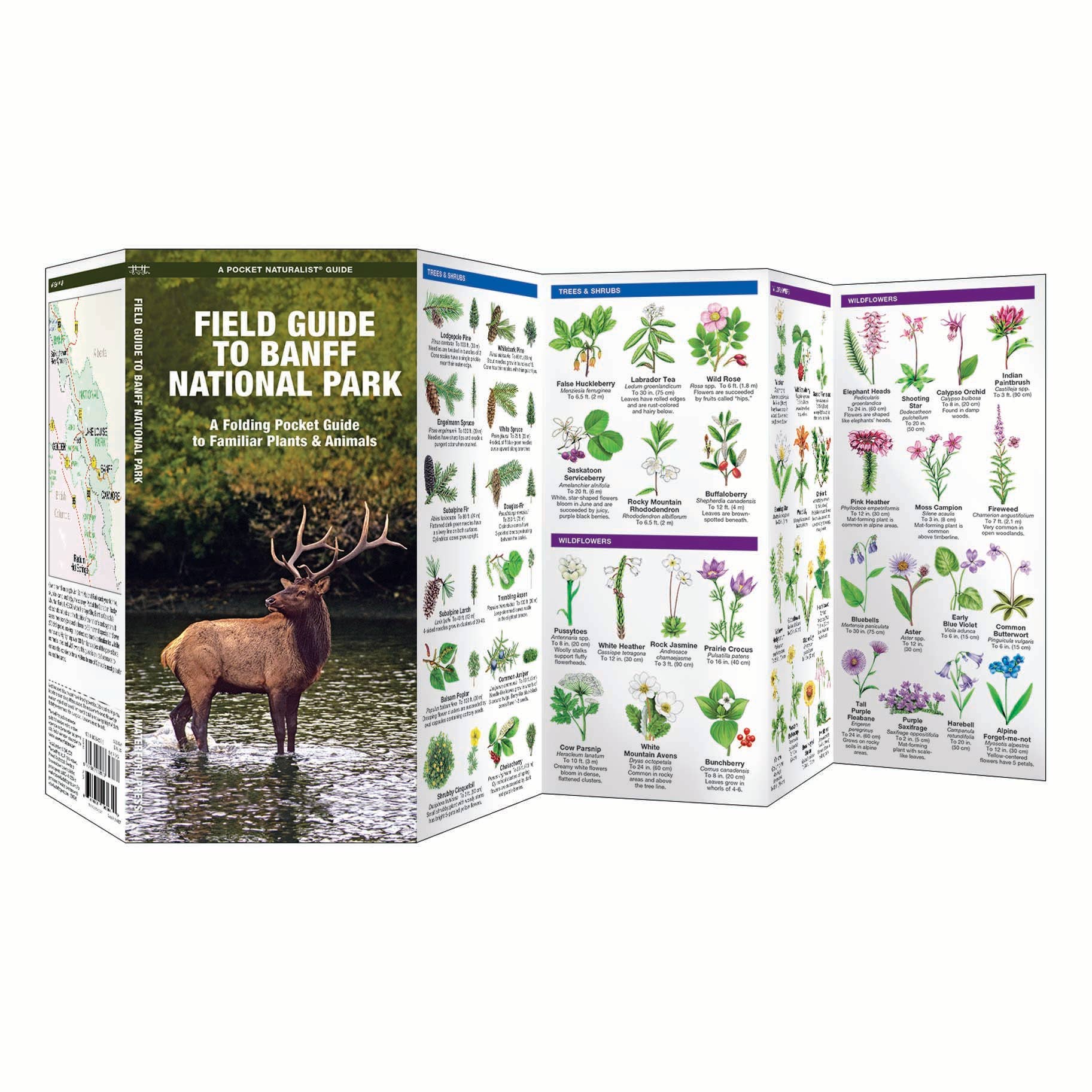 REMOVED BRAND - Wholesale Nature & Outdoors - Field Guide to Banff National Park1