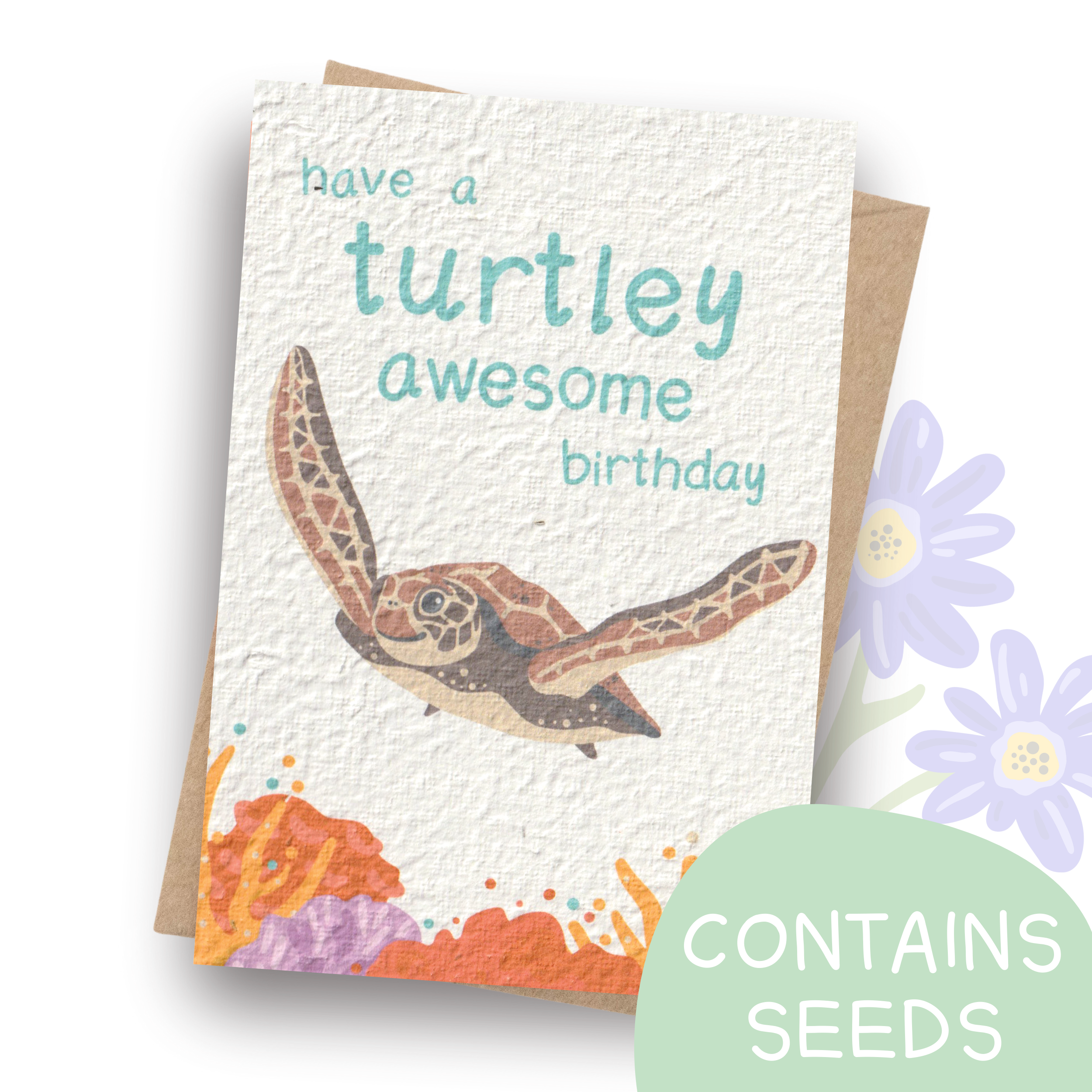 Tilly Scribbles - Wholesale Birthday card - Plantable Turtle Birthday Card0