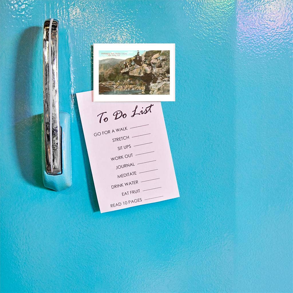 Found Image Press - Vendita all'ingrosso Calamite - Magnete CA-686 Roccia Sporgente, Ojai1