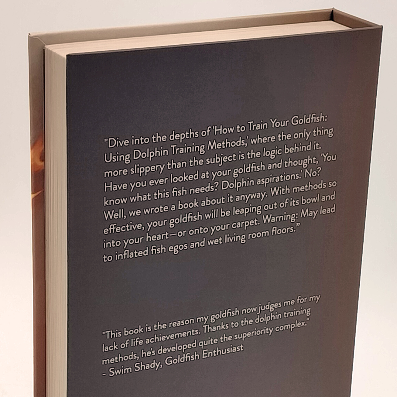 Book Boxes - Wholesale Decorative Box - How to Train Your Goldfish Using Dolphin Training Techniques5