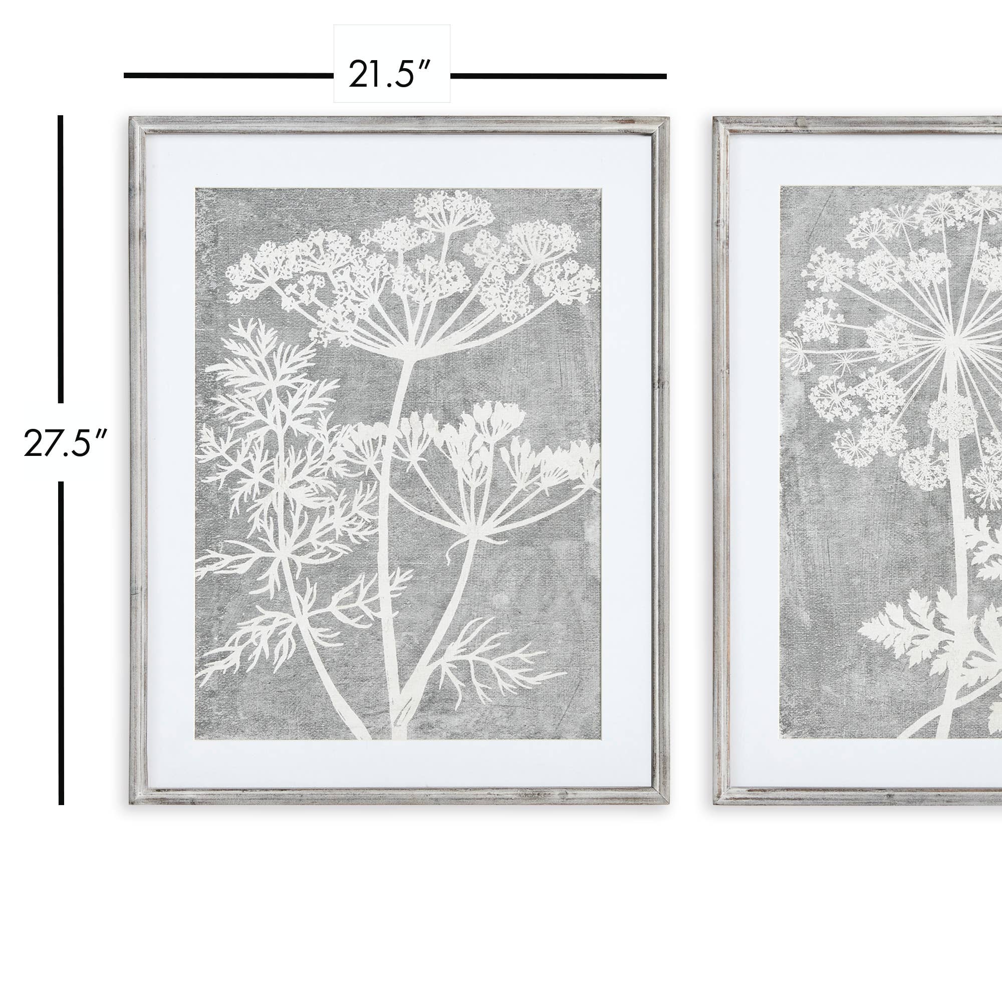GRAY Blooming Queen Anne'S Lace Prints for wholesale on Faire3