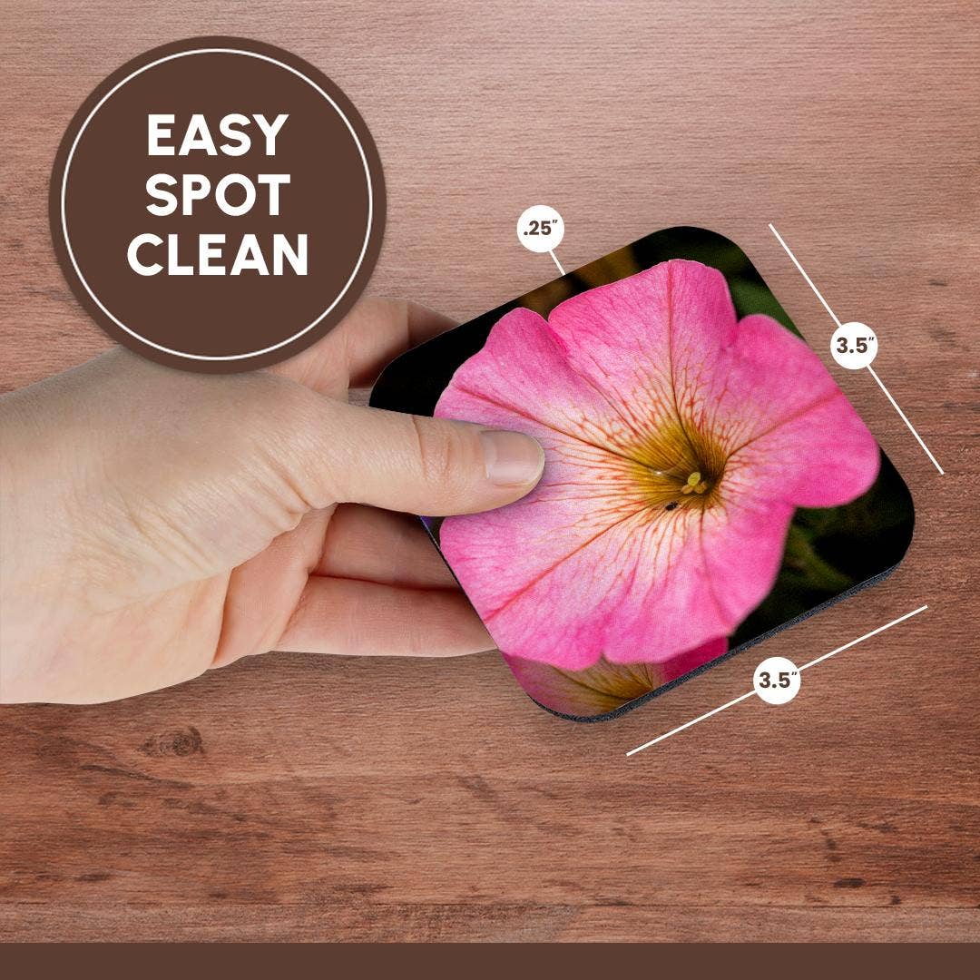 3dRose – wholesale Coasters – 3dRose, Pink petunia flower. A bug drinks rainwater from inside the plant, Coaster13
