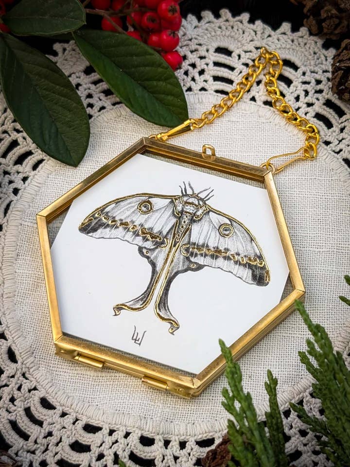 Imprimé Hexagone Papillon Comète pour la vente par Studio Umbralux