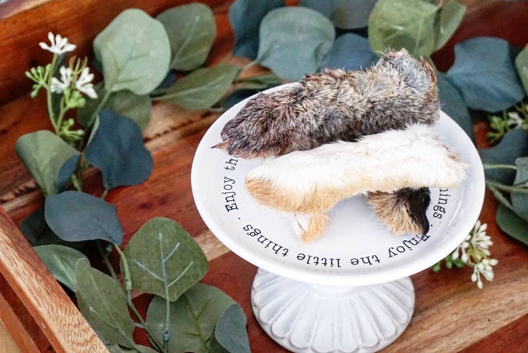 Naked Beasts, Inc. - Wholesale Pet Treats - Dog - Rabbit Feet4