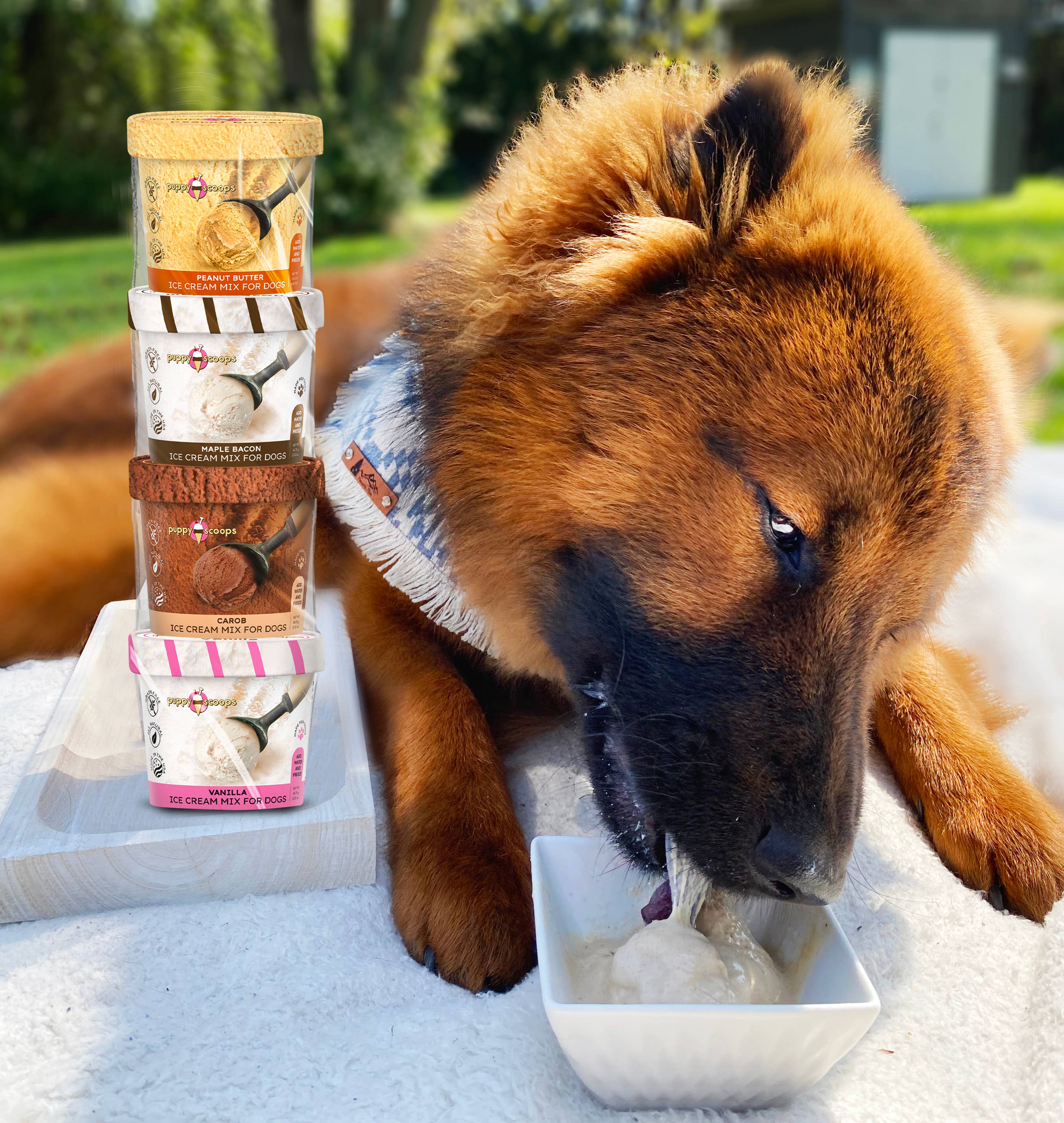 Puppy Cake LLC - Vente Friandises – chien - Pack d'échantillons de mélange à crème glacée Puppy Scoops - Les 4 saveurs13