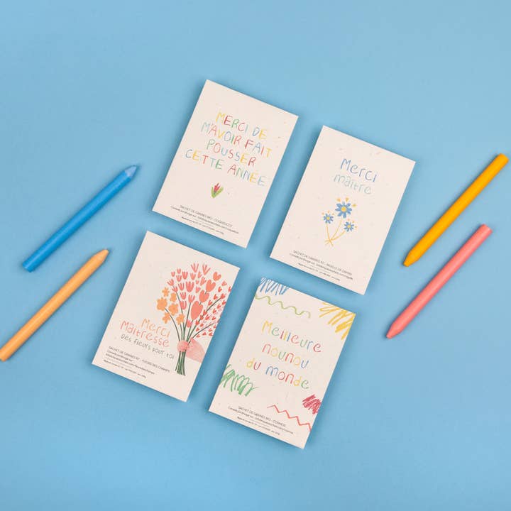 La Fabrique à Sachets - Wholesale Teacher/Back-to-School Card - Thank You Mistress - Wild Flower Seed Bag2