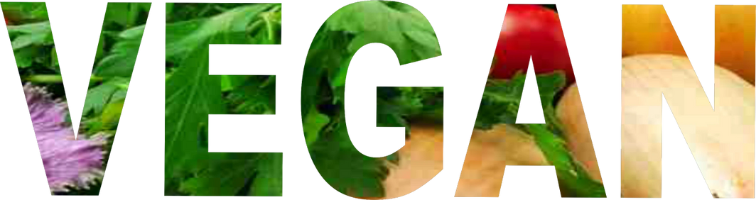 B-Organic - Wholesale Grocery/Shopping Bag - B- Organic - Vegan - Large - 14" x 17"0