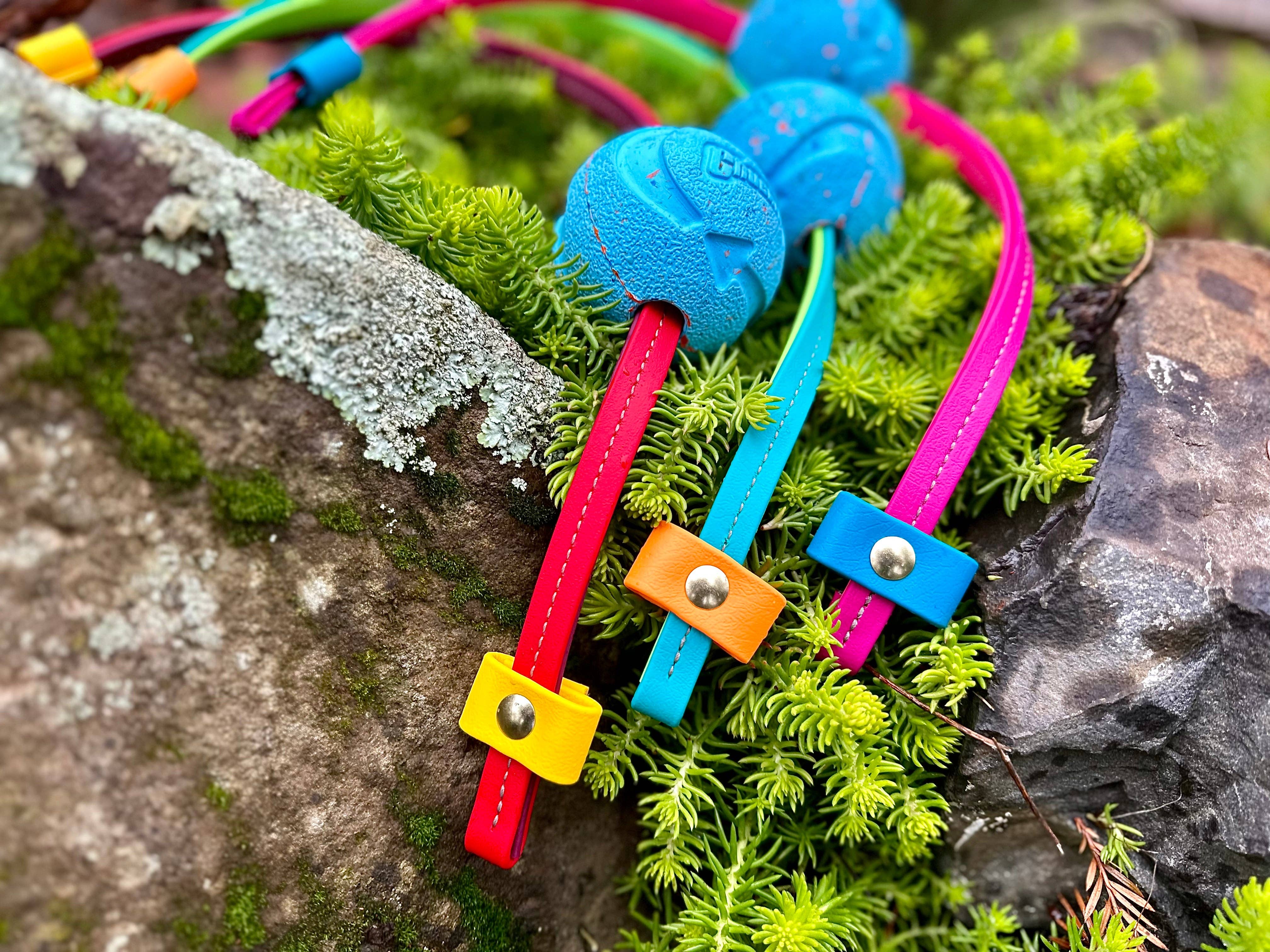 Trailblazing Tails - Wholesale Pet Rope Toy - Dog - The Slide Tug1