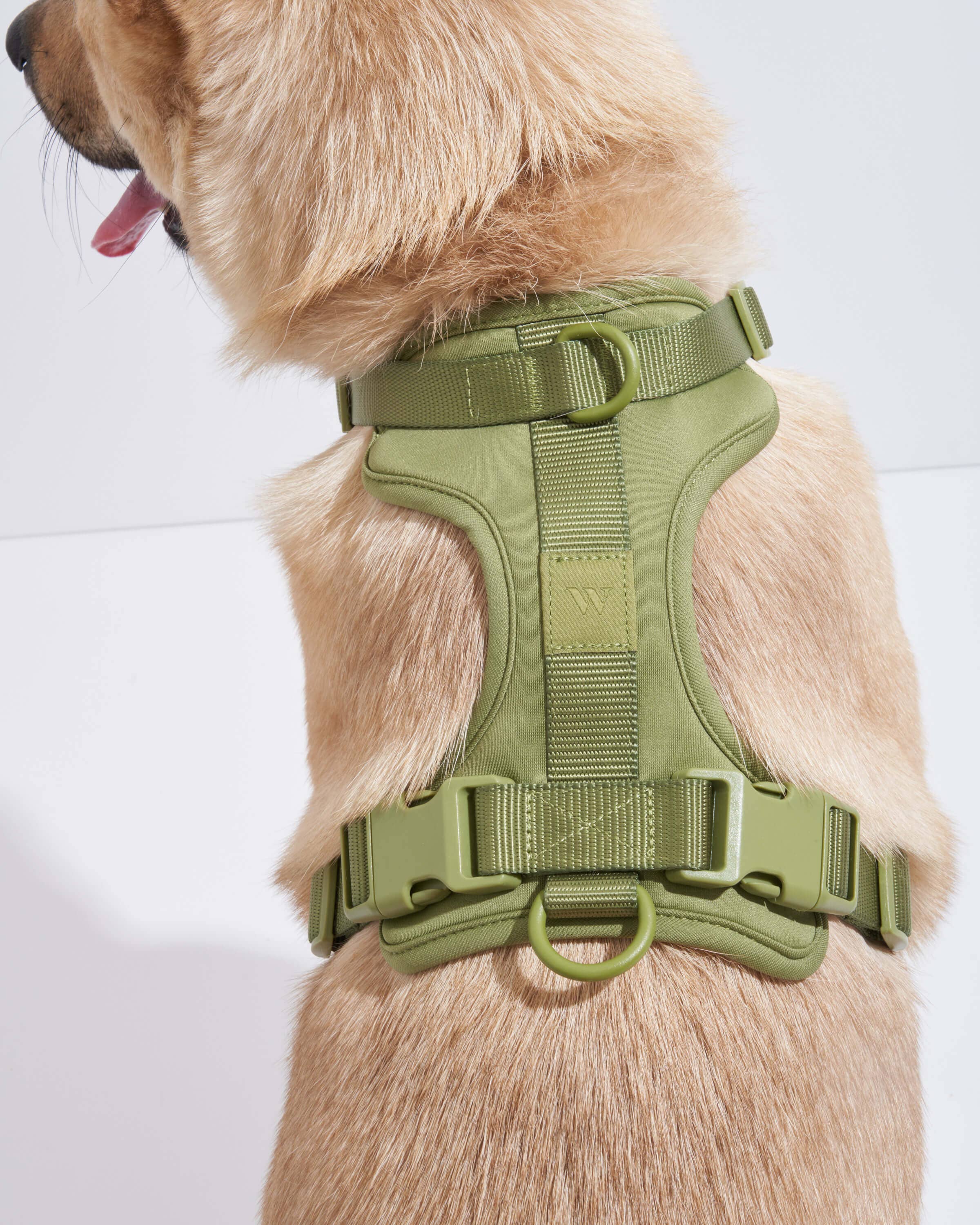 Wild One - Wholesale Pet Harness - Dog - Harness48