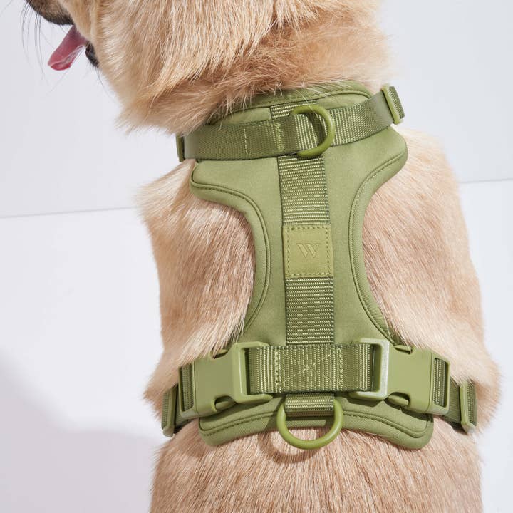 Wild One - Wholesale Pet Harness - Dog - Harness48