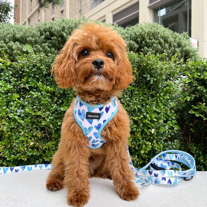 Cold Heart - Adjustable harness for wholesale by Peanut Apparel