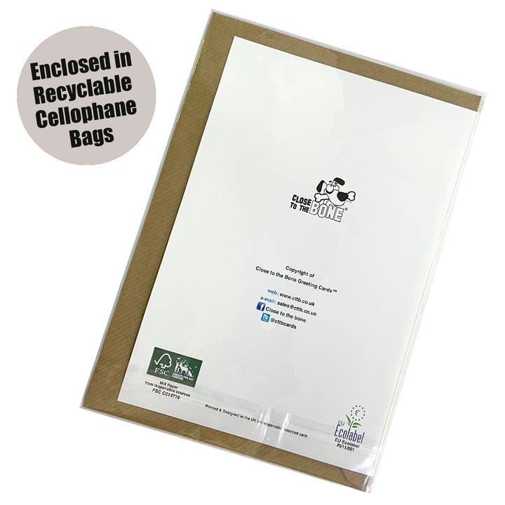 Close to the Bone Greeting Cards and Gifts - Wholesale Congratulations Card - #215 Better Colleagues3