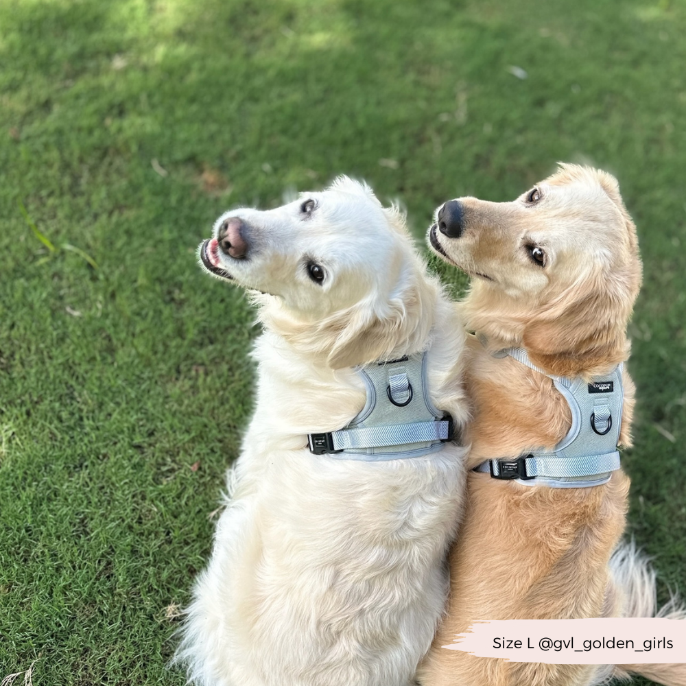 Cocopup London - Wholesale Tuig voor huisdieren - Hond - Verken Harness - Salie Tweed29