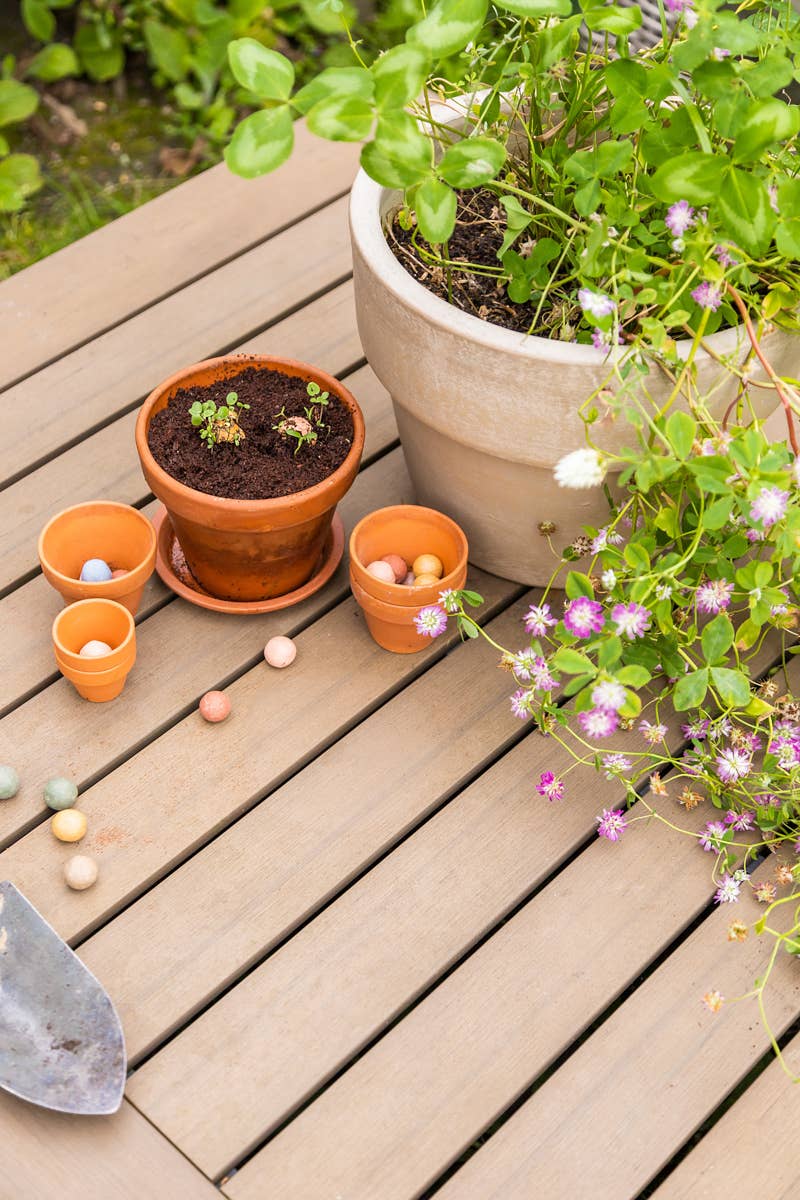 Blossombs - Wholesale Plant Seeds - Gift Box Small “With Love” – Butterfly Mix (7 Flower Bombs)5