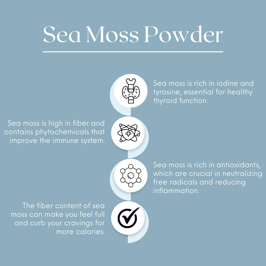 Natures Basket - Wholesale Protein/superfood powder - Nature's Basket Sea Moss (Chondrus Crispus) Powder 227g - Marine Wellness Boost5