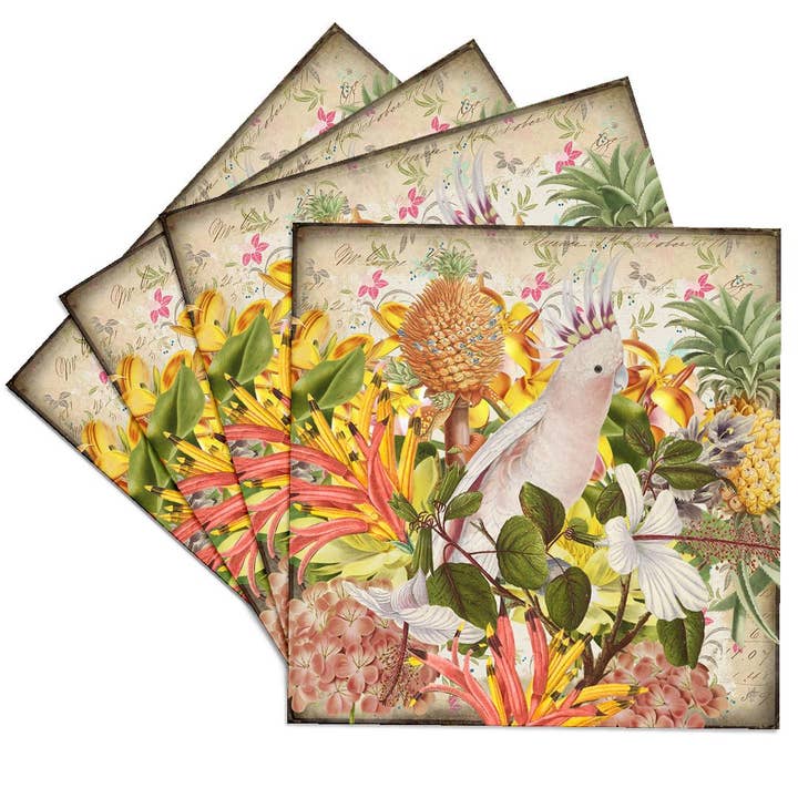 3dRose - Wholesale Coasters - 3dRose, Cockatoo And Tropical Platzs Illustration , Coaster