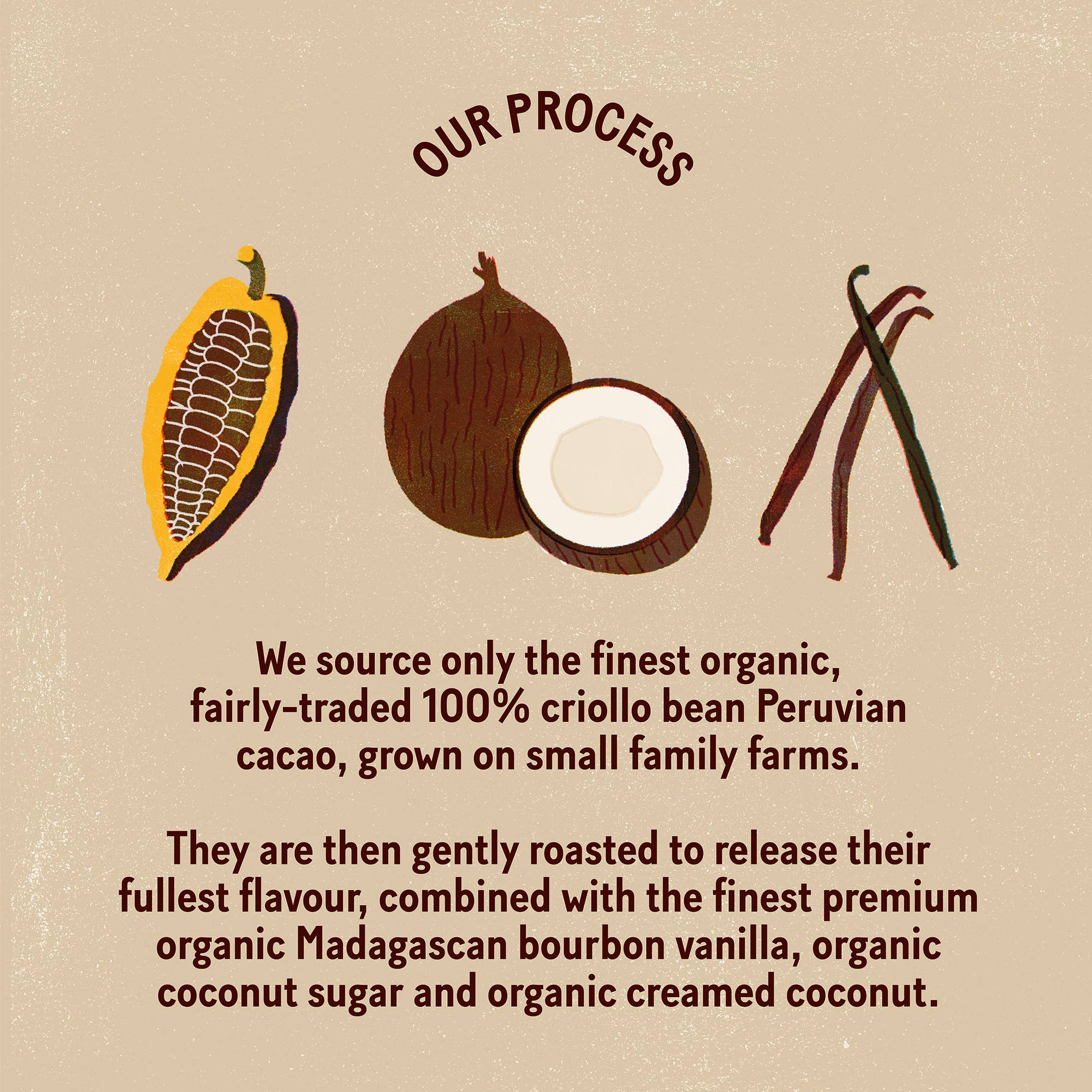 PLAYin CHOC - Vendita all'ingrosso Confezioni di cioccolatini - JustChoc Box 10 - Cioccolato fondente al cacao peruviano biologico 100g4